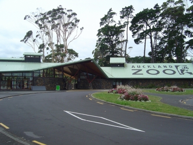 Auckland Zoo 640x480 1